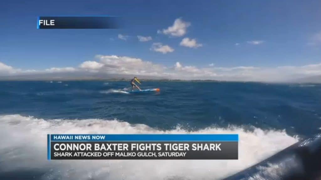 Connor Baxter attaqué par un requin en sup foil