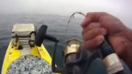 Stand up paddle fishing, que de bonnes vidéos !