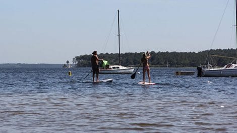 Stand Up Paddle Academy au bord du lac Moutchic de Lacanau