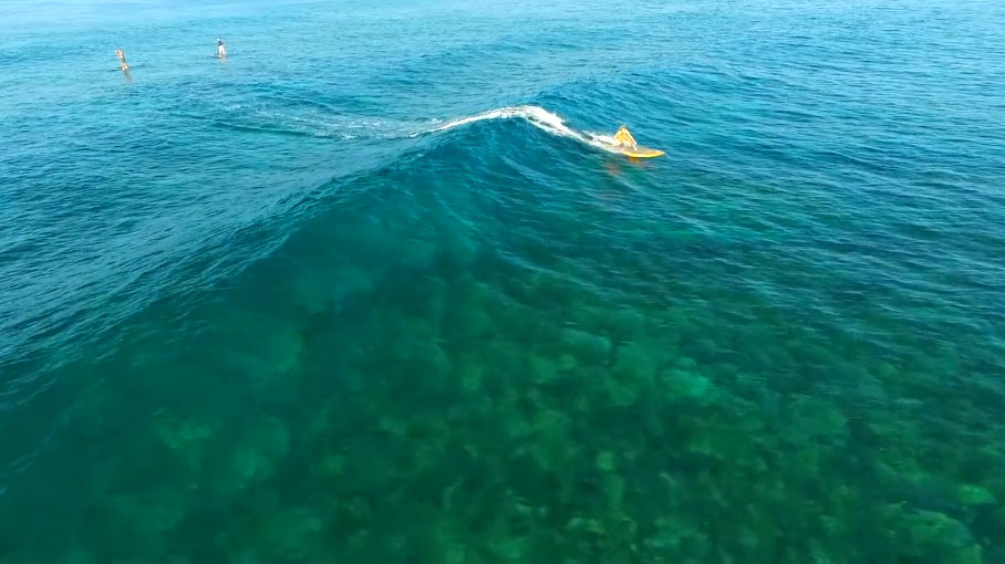 Stand up paddle surfing in Hawaï paradise