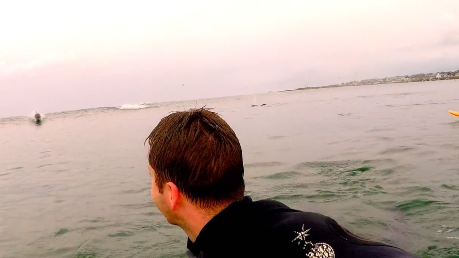 Vidéo de stand up paddle Ocean Dwellers