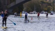 La course des Six heures de l’Erdre le 19 Novembre 2016