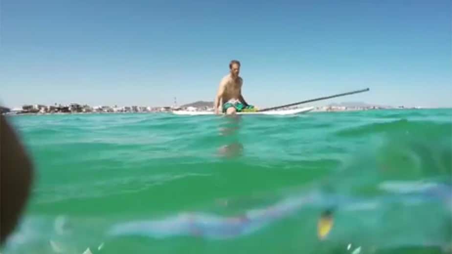 Un énorme calamar se hisse sur son stand up paddle