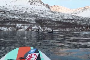 Vidéo stand up paddle au milieu des orques en Norvège