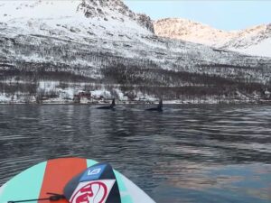 Vidéo stand up paddle au milieu des orques en Norvège