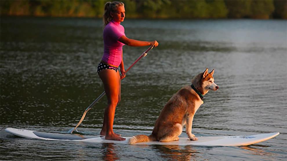 Votre chien sur un stand up paddle