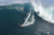 Zane Sup Surf à Jaws