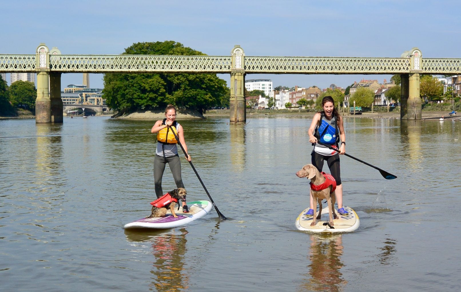 Où et comment faire du paddle à Londres ? sur Sup