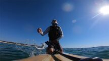 Comment pêcher en stand up paddle comme un pro !