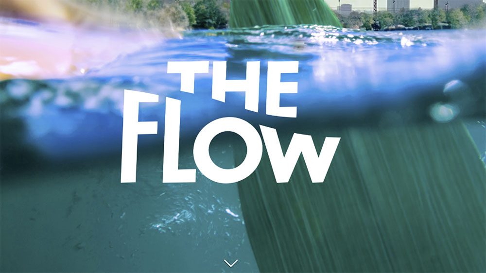 The Flow 2024, une aventure sur la Seine