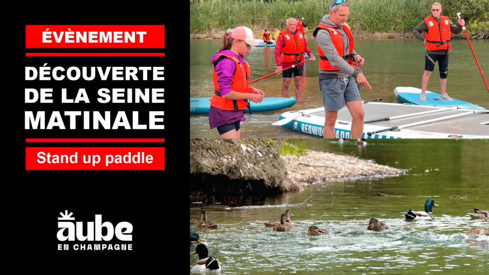 Découverte de la Seine matinale en paddle à Nogent-sur-Seine